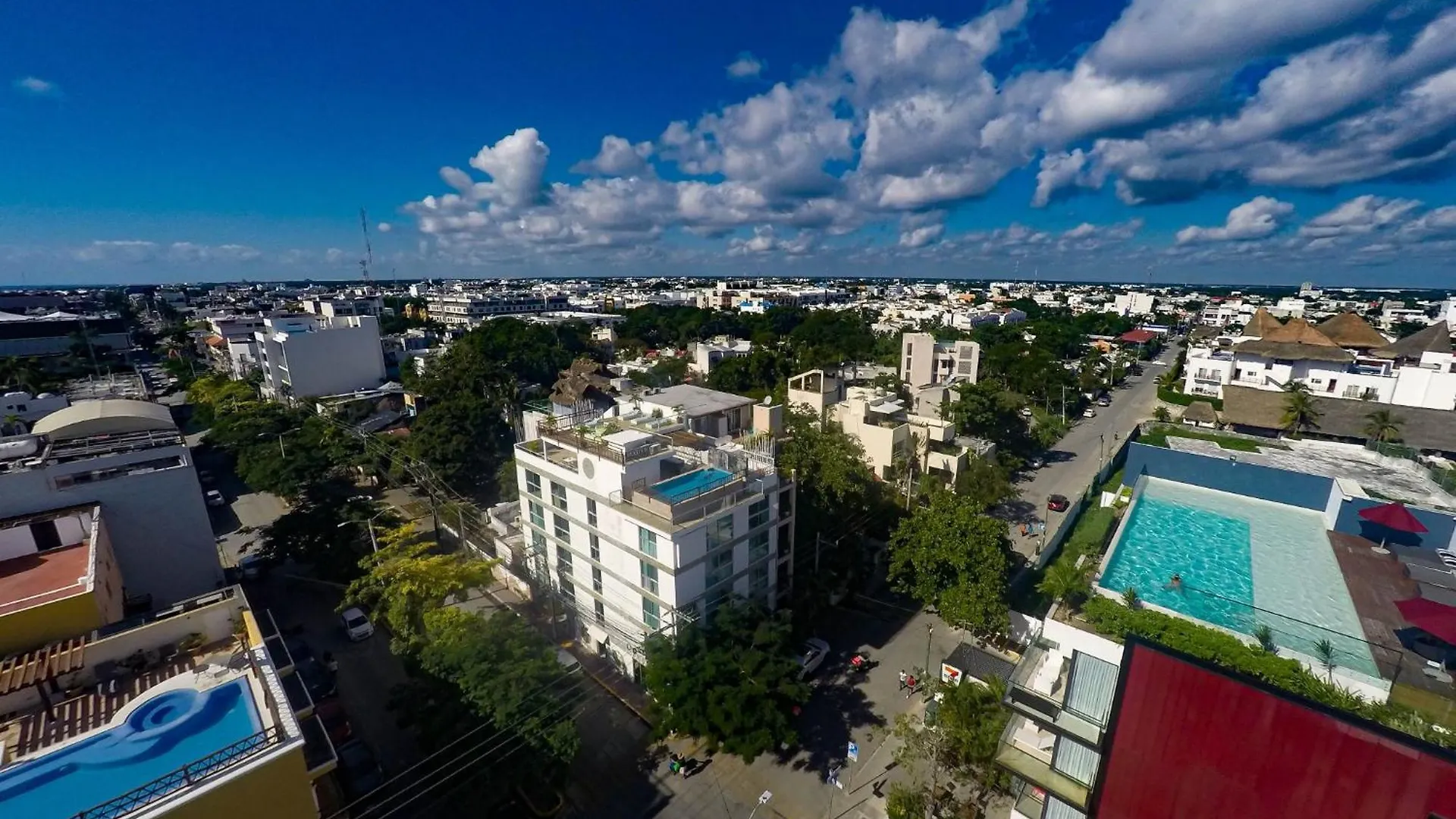 Chingon Anarchy Hotel & Roof Playa del Carmen Mexico