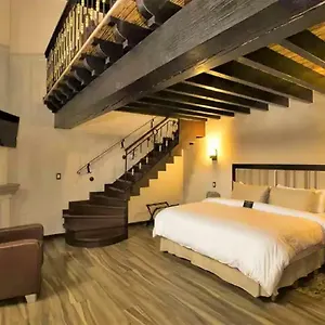 *** Hotel La Casa De Dos Leones México